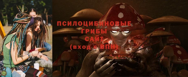 кокс Аркадак