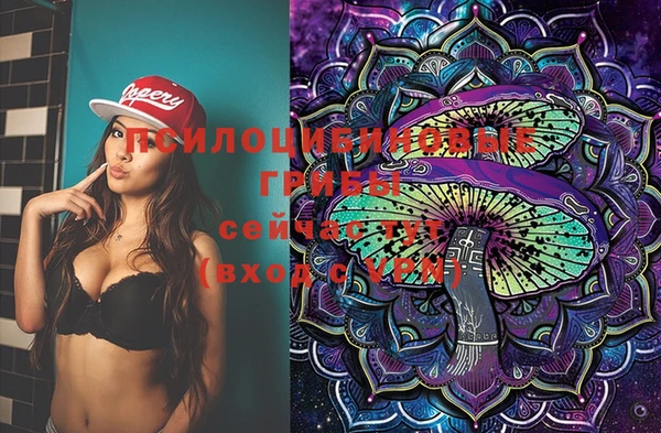 прущая мука Армянск
