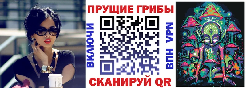 Псилоцибиновые грибы прущие грибы  Таштагол 